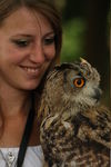 FALCONRY, PHOTOS BY ANNEKE, 0238 1