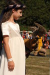 FALCONRY, PHOTOS BY ANNEKE, 0274 3