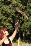 FALCONRY, PHOTOS BY ANNEKE, 0294 9