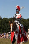 JOUSTING, PHOTOS BY ANNEKE, 0315 2