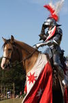 JOUSTING, PHOTOS BY ANNEKE, 0317 4