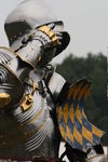 JOUSTING, PHOTOS BY ANNEKE, 8335 7