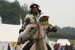 JOUSTING, PHOTOS BY ANNEKE, 8339 8