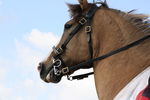 JOUSTING, PHOTOS BY ANNEKE, 9479 17