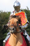 JOUSTING, PHOTOS BY ANNEKE, 9481 19