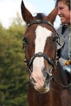 JOUSTING, PHOTOS BY ANNEKE, 9540 76
