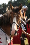 JOUSTING, PHOTOS BY ANNEKE, 9597 83