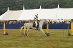 JOUSTING, PHOTOS BY BEN, 5917 51