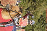 JOUSTING, PHOTOS BY BEN, 7525 66