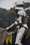 JOUSTING, PHOTOS BY PHIL, 0392 65