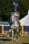 JOUSTING, PHOTOS BY STEPH, 0375 20