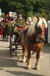PARADE, PHOTOS BY ANNEKE, 9885 35