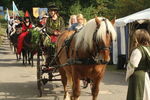 PARADE, PHOTOS BY ANNEKE, 9886 36