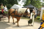 PARADE, PHOTOS BY ANNEKE, 9895 39