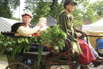 PARADE, PHOTOS BY ANNEKE, 9897 40