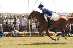 SKILL AT ARMS, PHOTOS BY ANNEKE, 0008 2