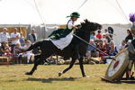 SKILL AT ARMS, PHOTOS BY ANNEKE, 0083 20