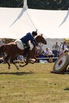 SKILL AT ARMS, PHOTOS BY ANNEKE, 0110 29
