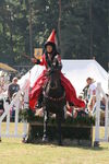 SKILL AT ARMS, PHOTOS BY ANNEKE, 0153 36