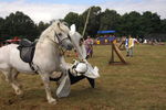 SKILL AT ARMS, PHOTOS BY RUI, 0432 64