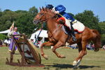 SKILL AT ARMS, PHOTOS BY STEPH, 0035 46