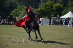 SKILL AT ARMS, PHOTOS BY STEPH, 1017 65