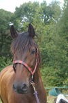 DAY 1, REBECCA, DSC03428 28