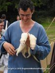 FERRETS, ANNEKE, DSCN1375 3