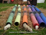 FERRETS, ANNEKE, DSCN1390 7
