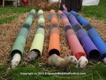 FERRETS, ANNEKE, DSCN1391 8