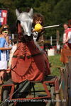 JOUSTING TRAINER, 20170826, ANNEKE, IMG
0143 2