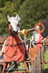 JOUSTING TRAINER, ANNEKE, IMG
0135 5