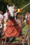 JOUSTING TRAINER, ANNEKE, IMG
0144 6
