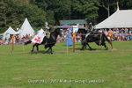 JOUSTING, 20170828, PHIL, 2Y3A9564 111